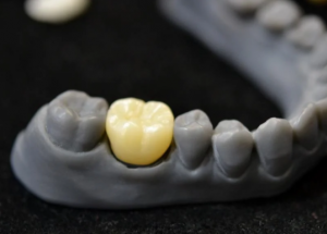 顯揚(yáng)科技亮相央視直播間