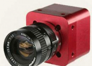 顯揚科技亮相央視直播間