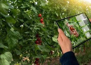 顯揚(yáng)科技亮相央視直播間