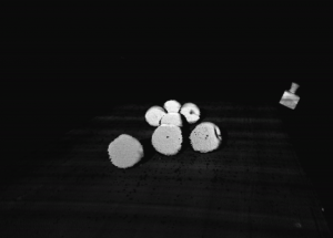 顯揚科技亮相央視直播間