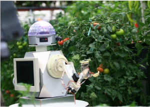 顯揚(yáng)科技亮相央視直播間