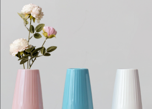 顯揚科技亮相央視直播間