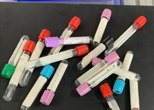 顯揚科技亮相央視直播間